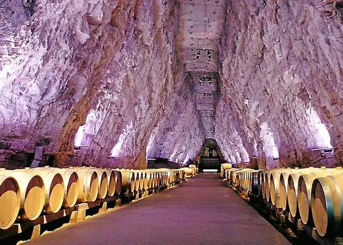 Palma Bis 4 Pers - 100m *